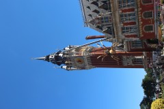 IMG_6451