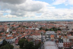 IMG_6453