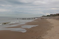 IMG_6482