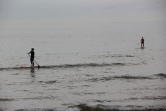 IMG_6495