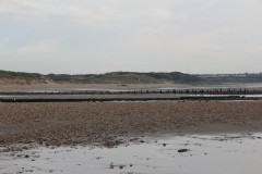 IMG_6512