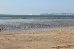 IMG_6633