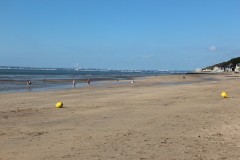 IMG_6634
