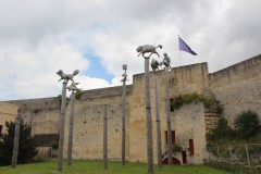 IMG_6756