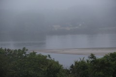 IMG_7337
