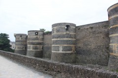 IMG_7431