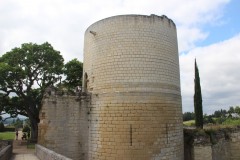IMG_7515