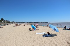 IMG_7792