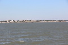 IMG_7803