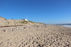 IMG_7816