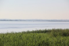 IMG_7821
