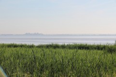 IMG_7822