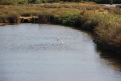 IMG_7863