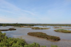 IMG_7870