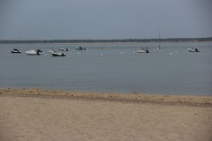 IMG_7916