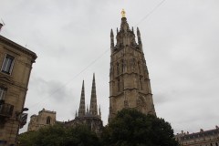 IMG_7930