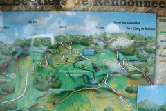 IMG_8135