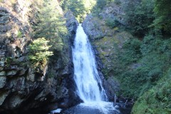 IMG_8170