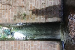IMG_8181