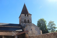 IMG_8216