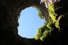 IMG_8236