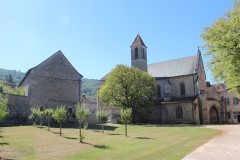 IMG_8279