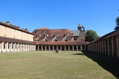 IMG_8281