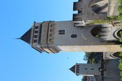 IMG_8294