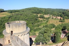IMG_8329