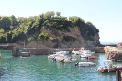 IMG_8346