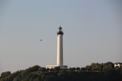IMG_8382