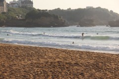 IMG_8390