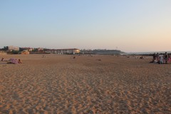 IMG_8399