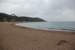 IMG_8435