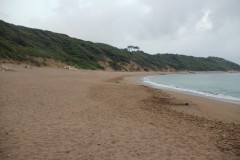 IMG_8437