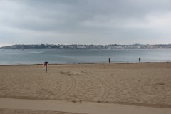 IMG_8446