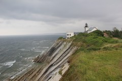 IMG_8456
