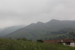 IMG_8478