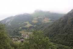 IMG_8533