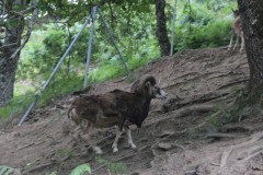 IMG_8540
