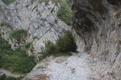 IMG_8563
