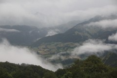 IMG_8567