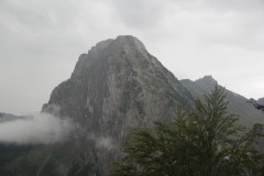 IMG_8569