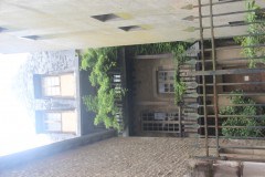 IMG_8576