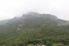 IMG_8585