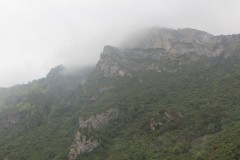IMG_8586