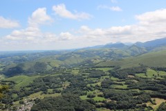 IMG_8664