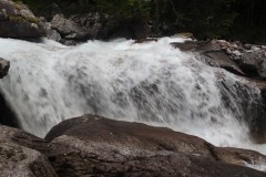 IMG_8701