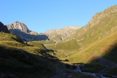 IMG_8705