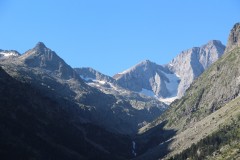 IMG_8739